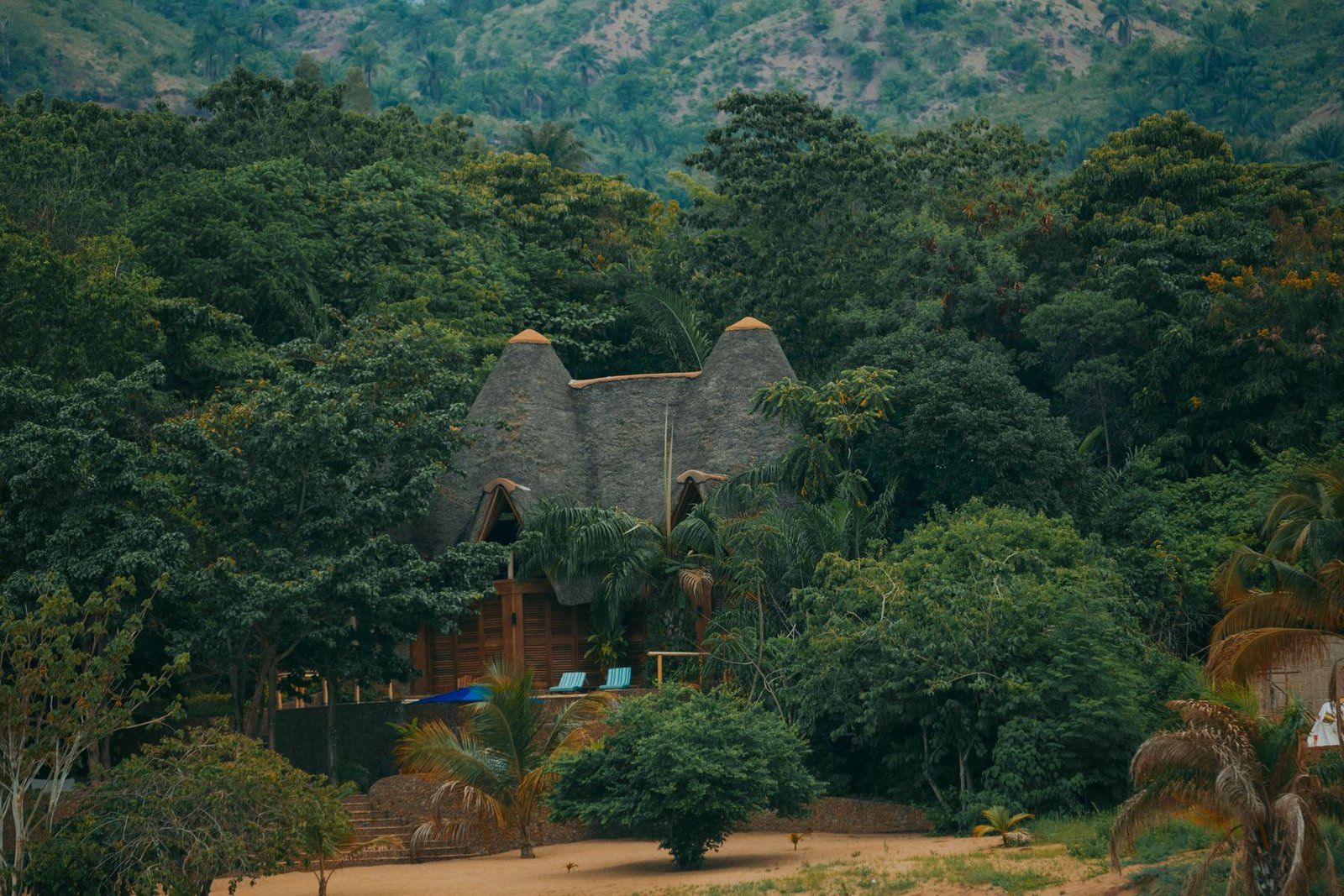 Illustrative photograph of a tropical forest lodge — not the actual Ecohotel La Reserva Natural