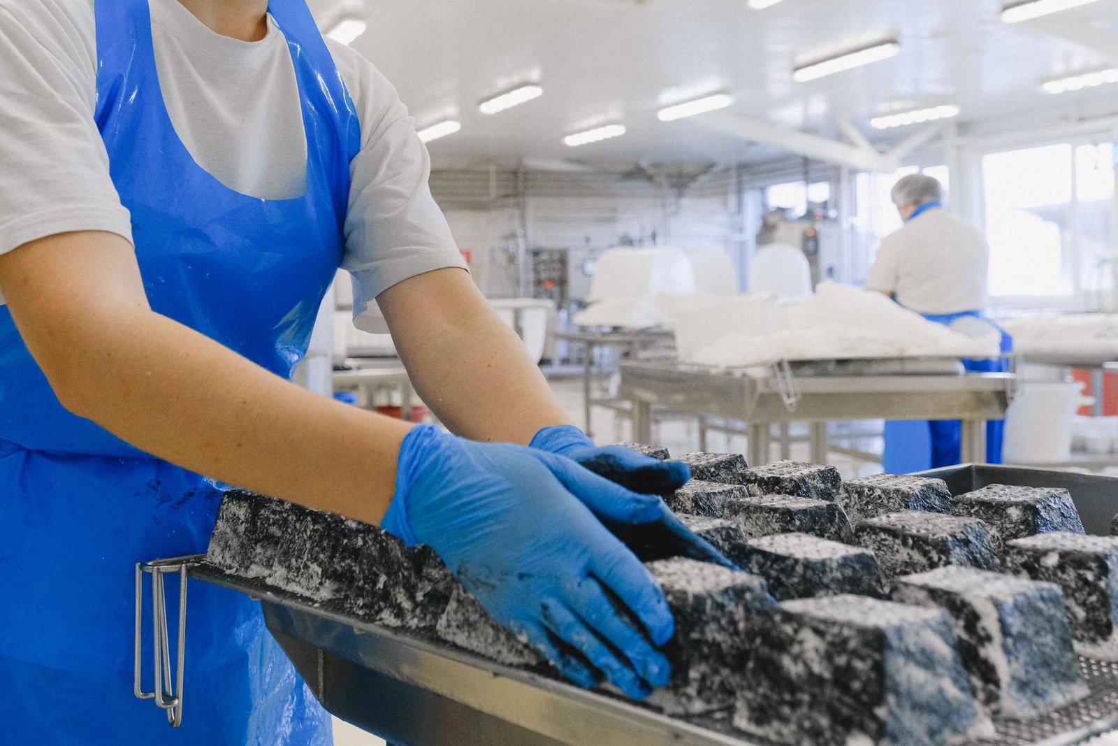 Food production team working together in a processing facility